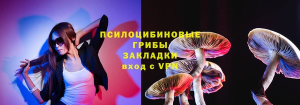 крисы Алексин