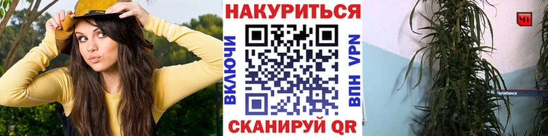 kraken зеркало  Орехово-Зуево  Канабис план 